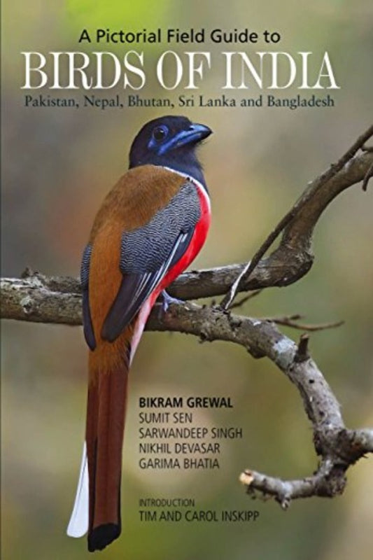 Birds of India - Garima Bhatia